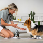 Tips for Maintaining Pet Health and Well-Being