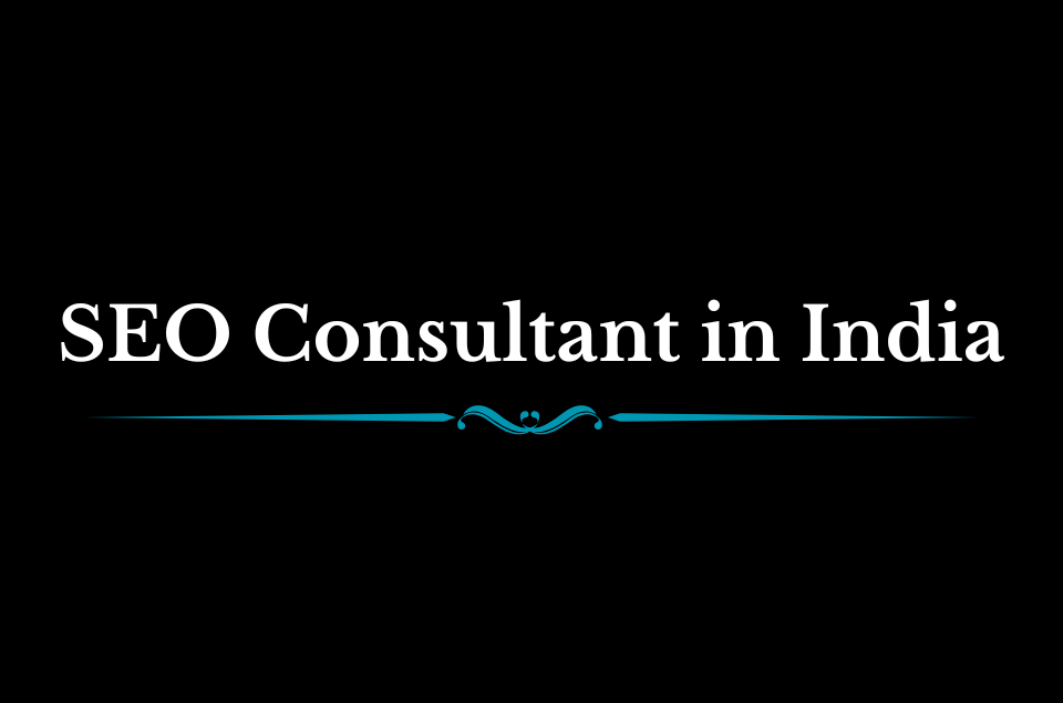 SEO Consultant in India