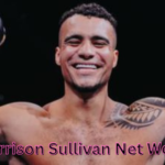 Harrison Sullivan Net Worth: Biography, Age, Career, Social Media Journey and Success Story