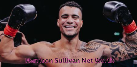 Harrison Sullivan Net Worth